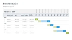 Project Status Report