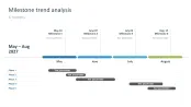 Project Status Report