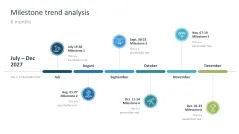 Project Status Report