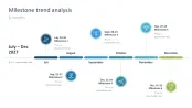 Project Status Report