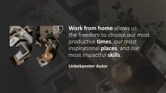 Remote Work / Home Office 