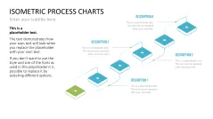 Isometric Process Charts