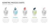 Isometric Process Charts