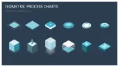 Isometric Process Charts