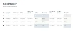 Risikomanagement 