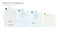 Risk Management