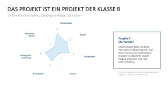 Projekt-Kennzahlen 