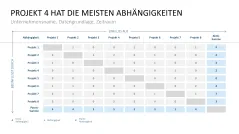 Projekt-Kennzahlen 