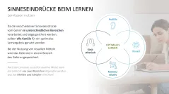 Lernmethoden und Lernstrategien 