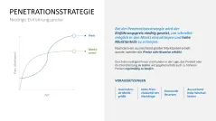 Preisstrategie 