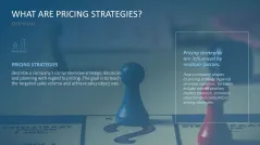 Pricing Strategy