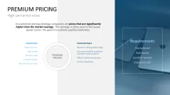 Pricing Strategy