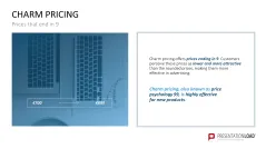 Pricing Strategy