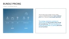 Pricing Strategy