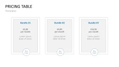 Pricing Strategy
