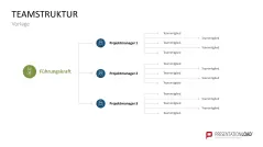 Teamstrukturen 