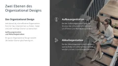 Organizational Design 