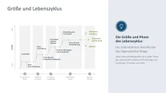 Organizational Design 