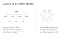 Organizational Design 