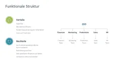 Organizational Design 