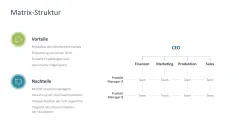 Organizational Design 