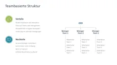 Organizational Design 