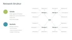 Organizational Design 