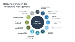Turnaround Management 