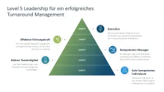 Turnaround Management 