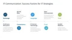 IT Strategy