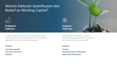 Working Capital Management 