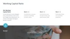 Working Capital Management 