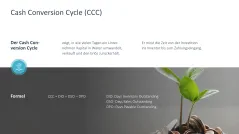 Working Capital Management 