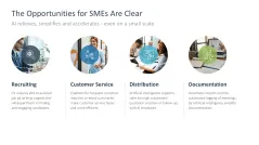 Introducing an AI Strategy in SMEs