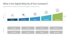 Introducing an AI Strategy in SMEs