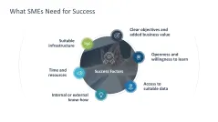 Introducing an AI Strategy in SMEs