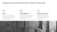 Introducing an AI Strategy in SMEs