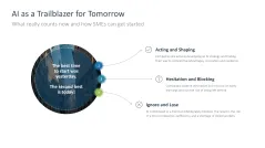 Introducing an AI Strategy in SMEs