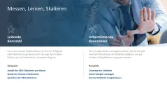 Generative Engine Optimization (GEO) 