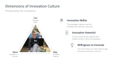 Innovation Culture 