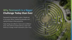 Teamwork in the Digital Age 