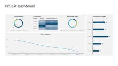 Projekt-Dashboards 