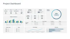 Project Dashboards 