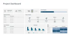 Project Dashboards 