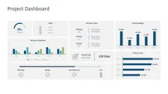 Project Dashboards 