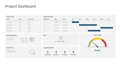 Project Dashboards 