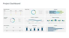Project Dashboards 