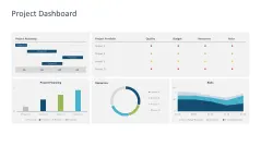 Project Dashboards 