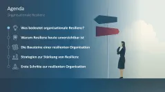 Organisationale Resilienz 