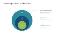 Organisationale Resilienz 